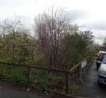 �30,000 Salford Community Forest Garden